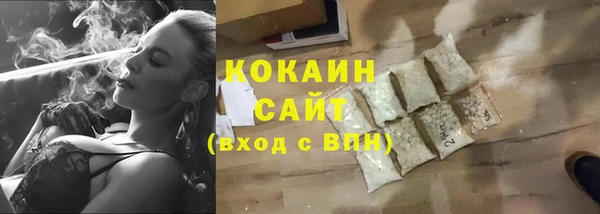 твердый Алексин