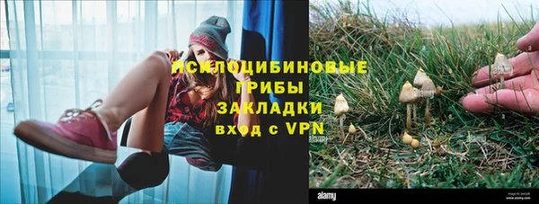 стафф Алексеевка