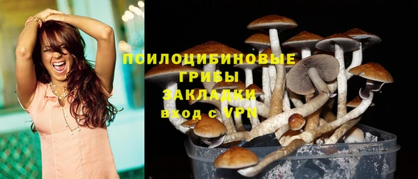твердый Алексин