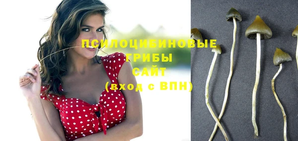 твердый Алексин