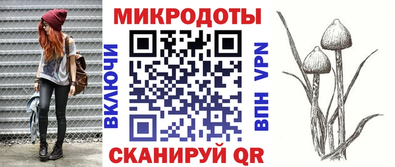 Галлюциногенные грибы мухоморы Владивосток